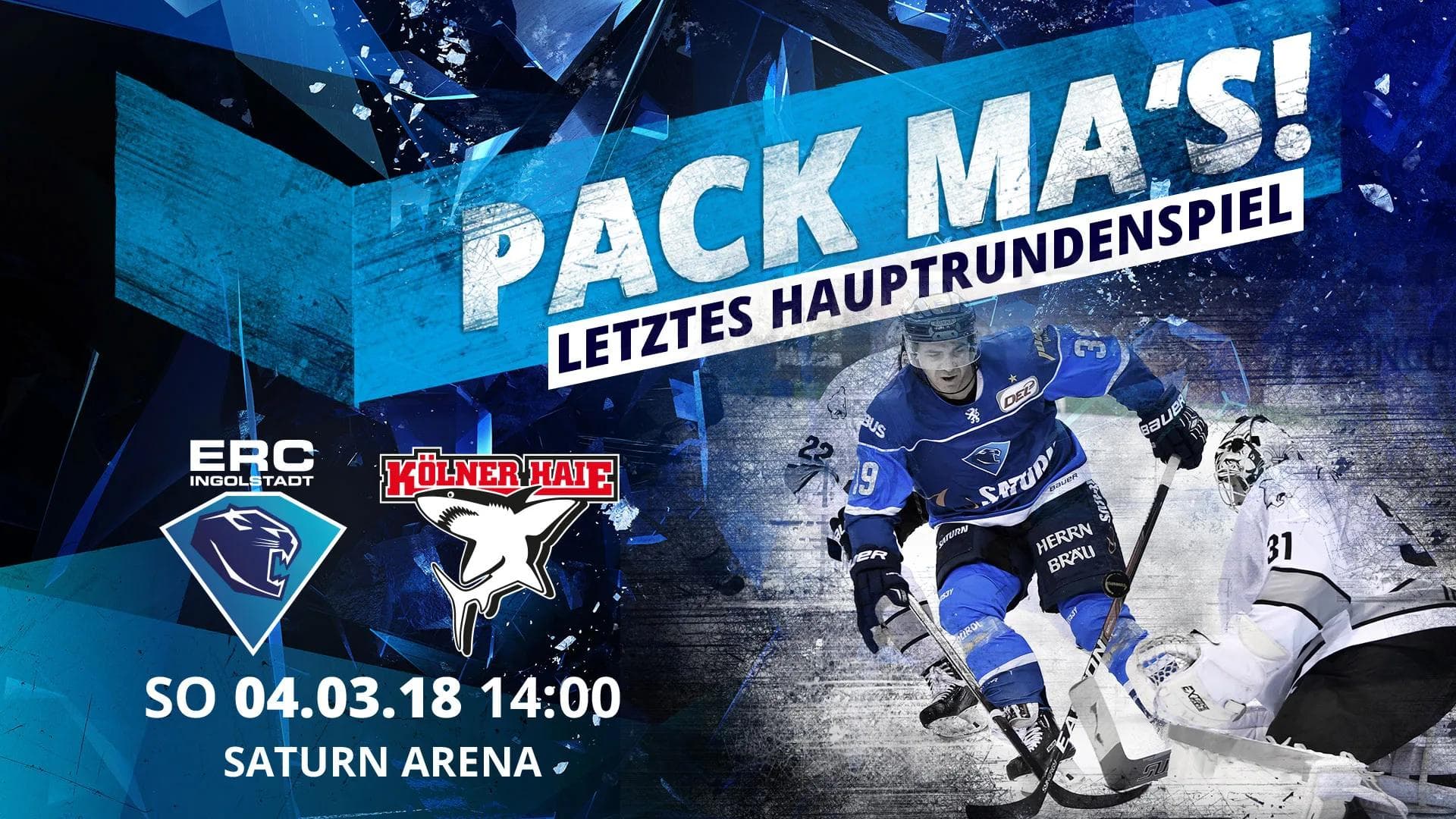 Die Panther treffen zum Abschluss der Hauptrunde auf die Kölner Haie.