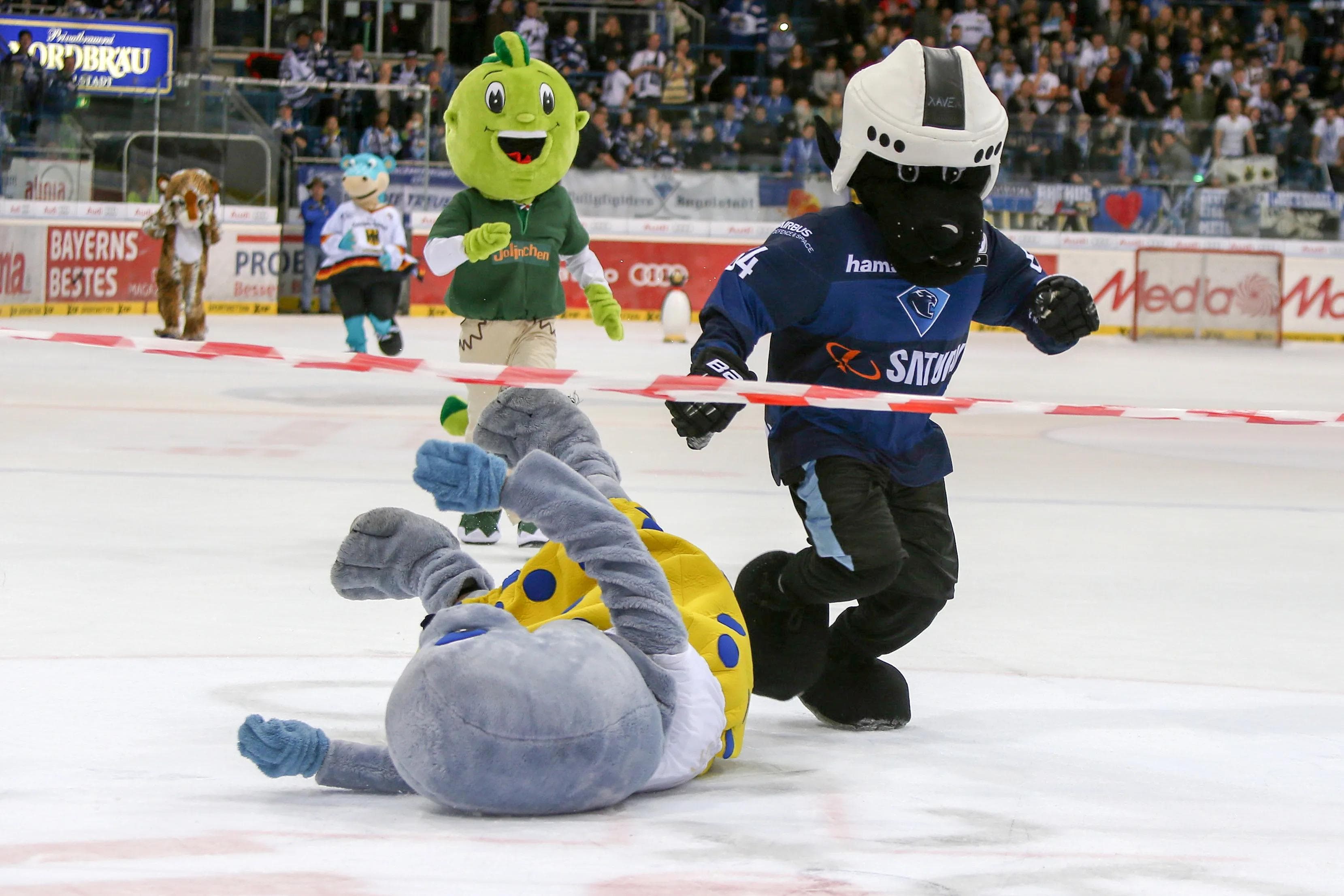 Xaver und seine Freunde freuen sich auf Ihren Besuch. Foto: Meyer / kbumm.de