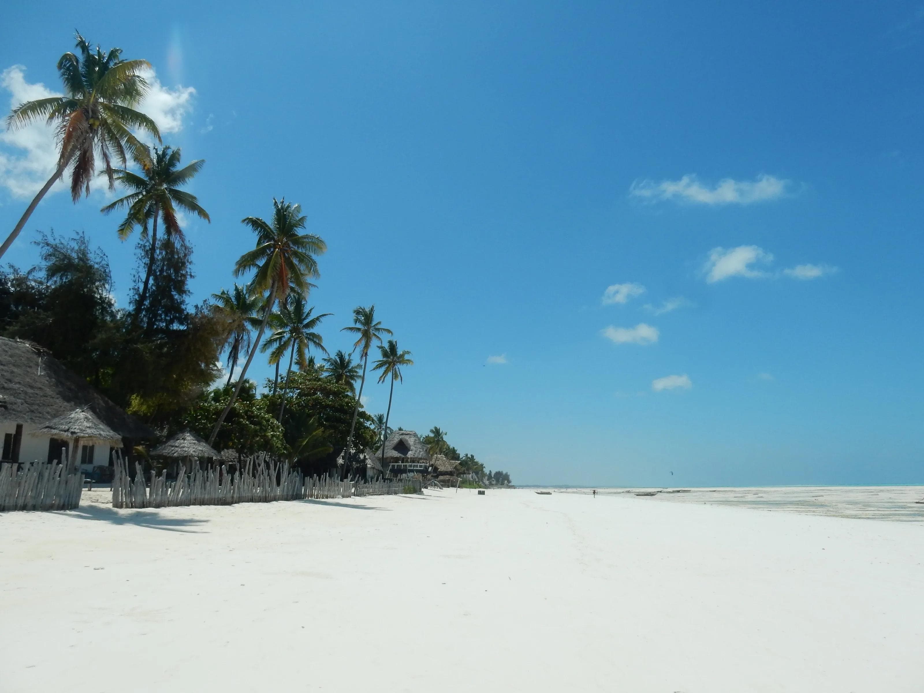 Pantherige Urlaubstipps. Foto: Pixabay