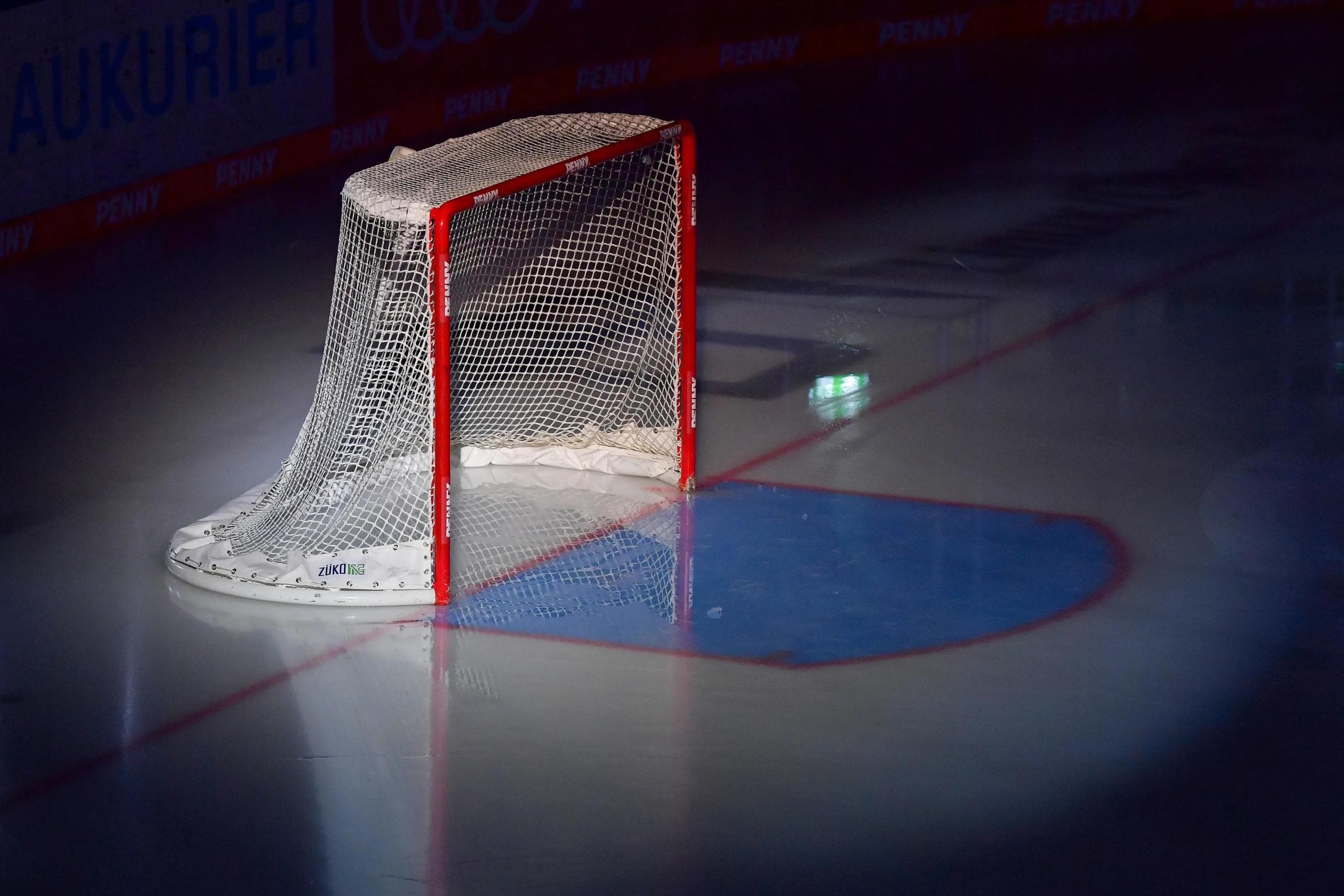 Alle 14 Clubs erhalten DEL-Lizenz