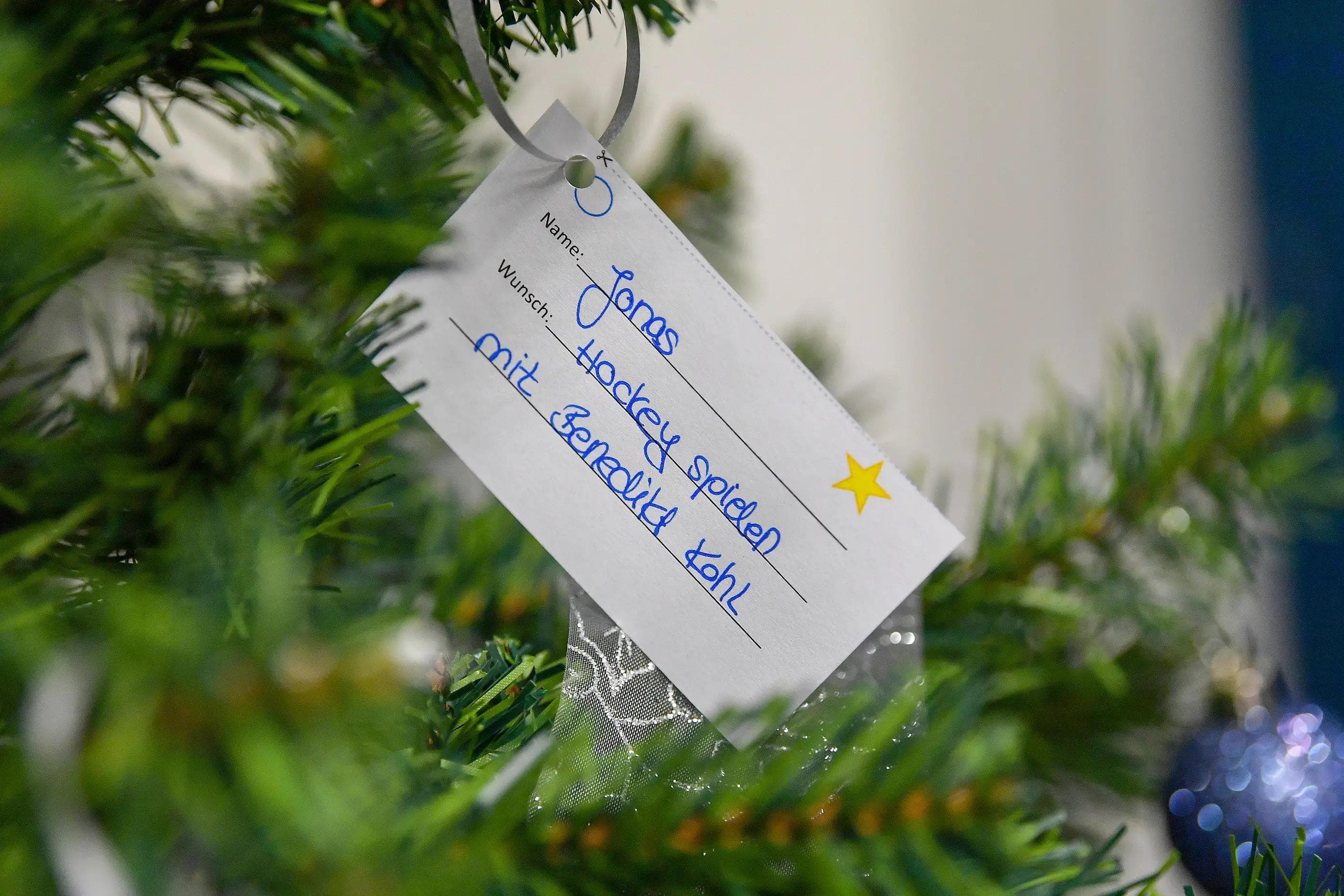 Der Wünsch-dir-was-Baum ist heute in Eingangsbereich Süd aufgestellt.
Foto: Johannes TRAUB / JT-Presse.de