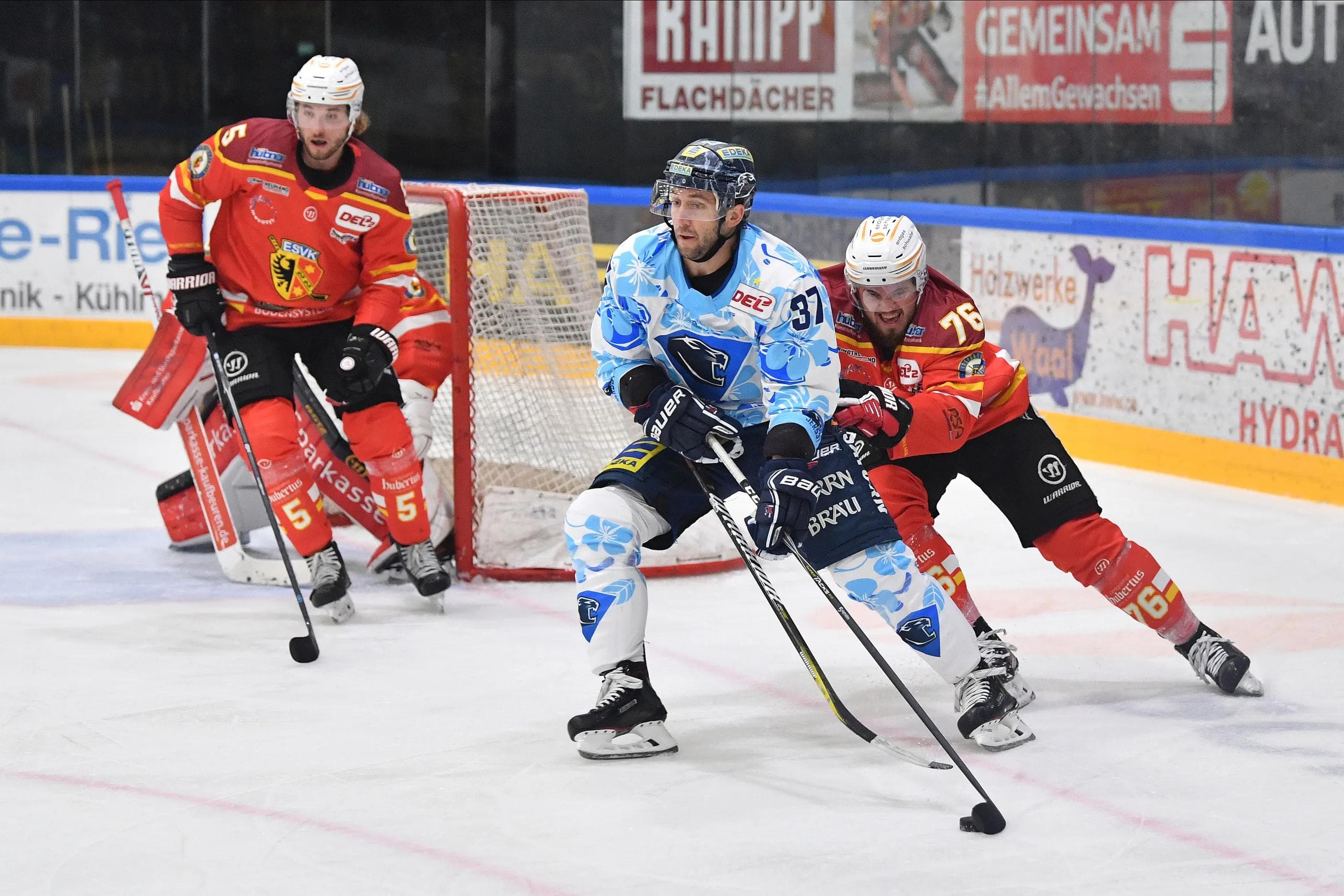 Die Panther um Sean Sullivan wurden vom ESVK ordentlich gefordert, spielten am Ende aber doch ihre Klasse aus.
Foto: Johannes TRAUB / JT-Presse.de
