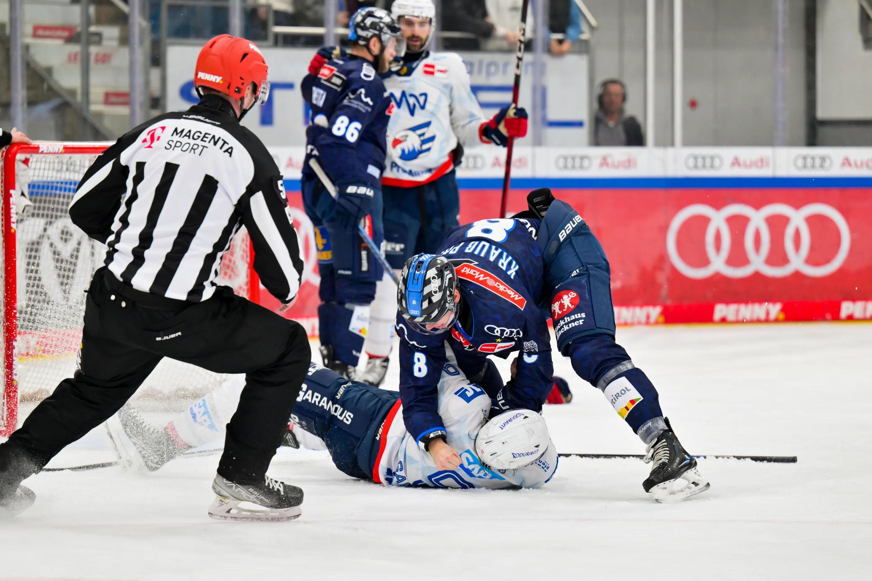 Panther ringen Adler nieder