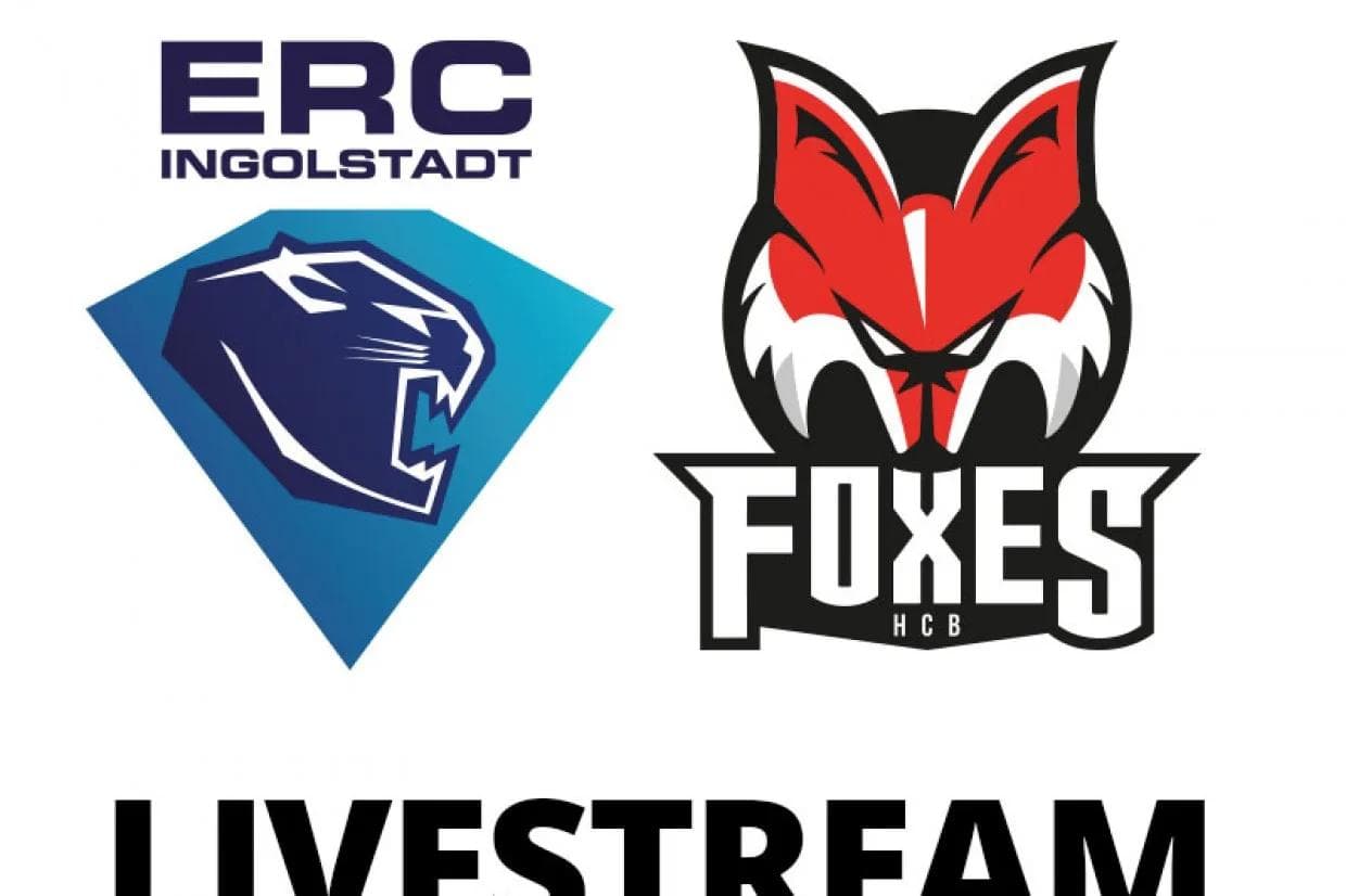 Livestream der Partie ERC Ingolstadt gegen HC Bozen.