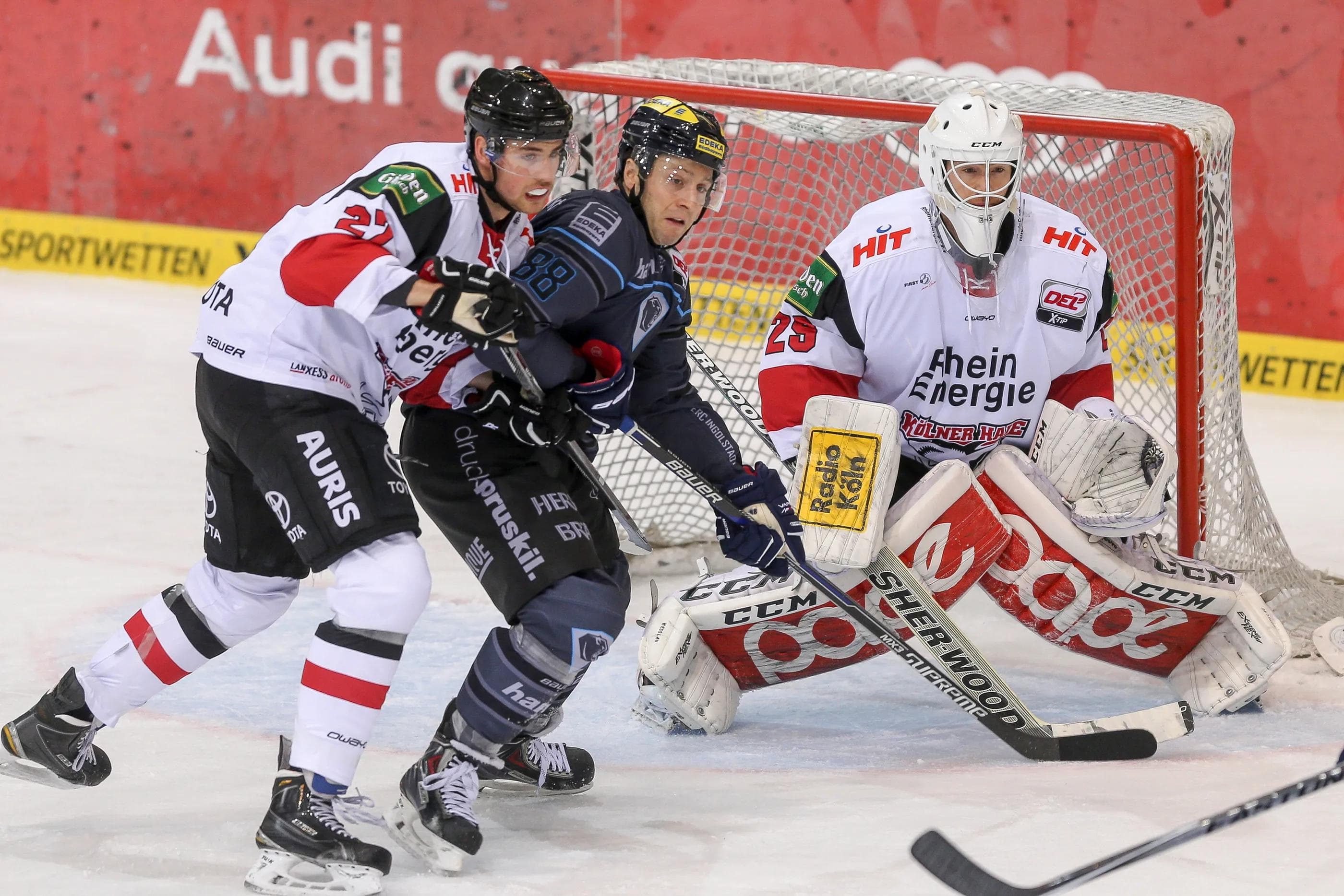 Brandon McMillan bestritt sein erstes Heimspiel für den ERC gegen Köln. Zuletzt war er sehr treffsicher. Foto: st-foto.de / Strisch-Traub