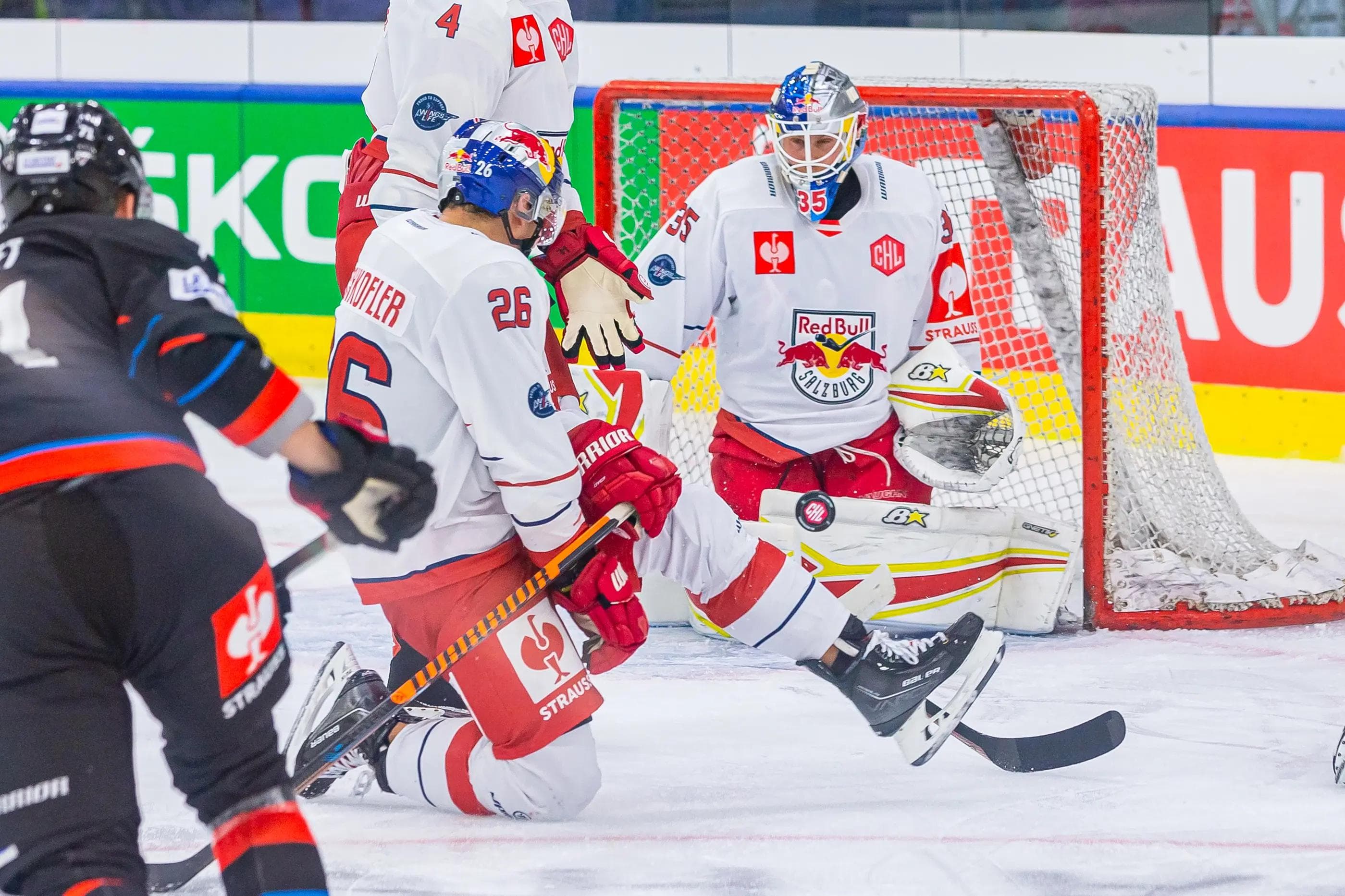 Nur einmal war Red Bull Salzburg nicht im Feld der CHL vertreten.
Foto: GEPA Pictures/Gintare Karpaviciute