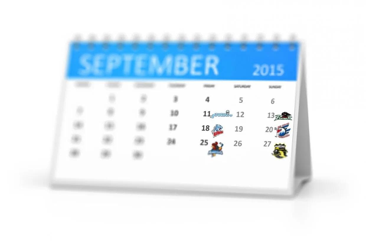 Das sind die ersten Spiele der neuen DEL-Saison - Foto: magann/fotolia