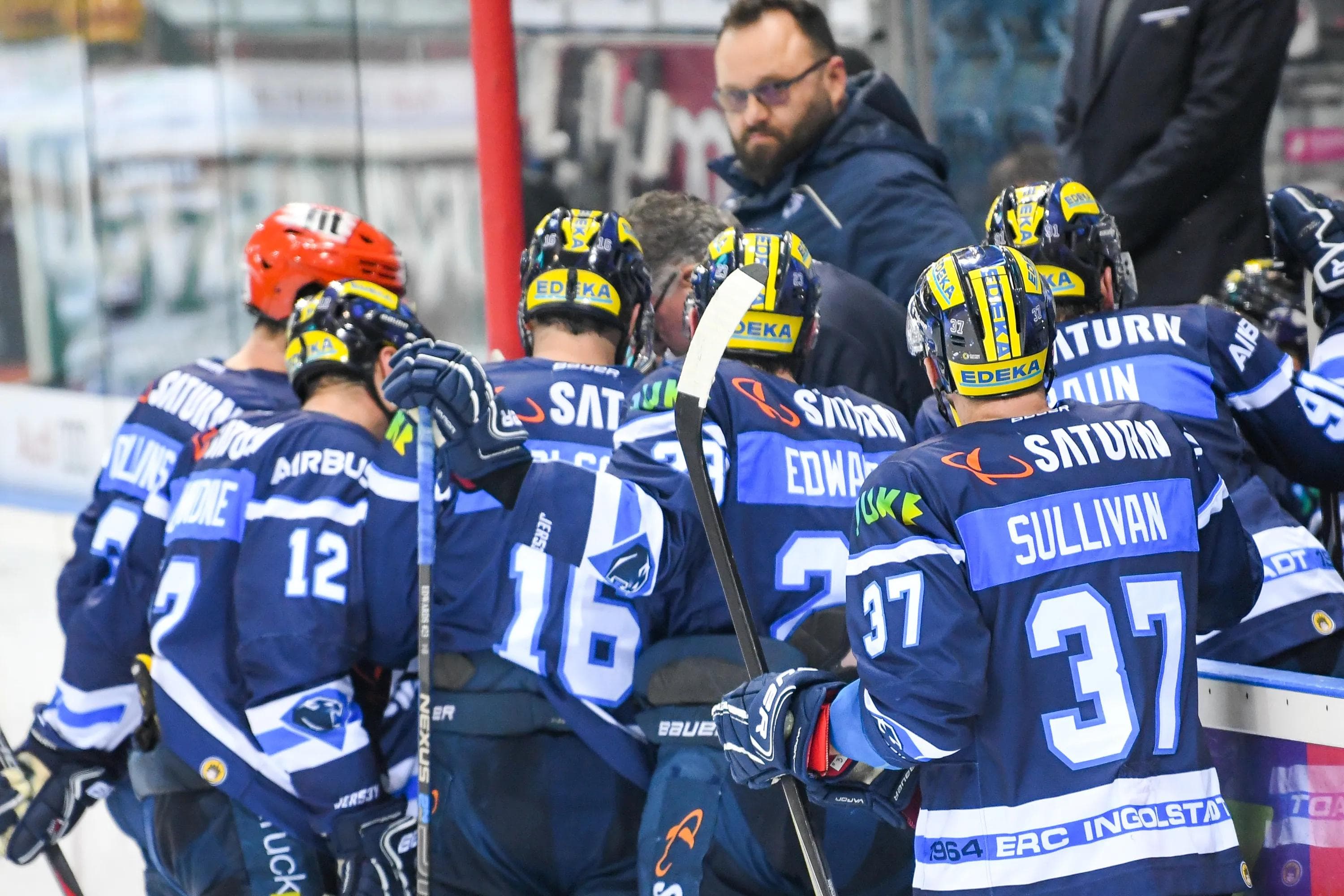Stimmen Sie für Ihren Favoriten. Foto: Oliver Strisch / st-foto