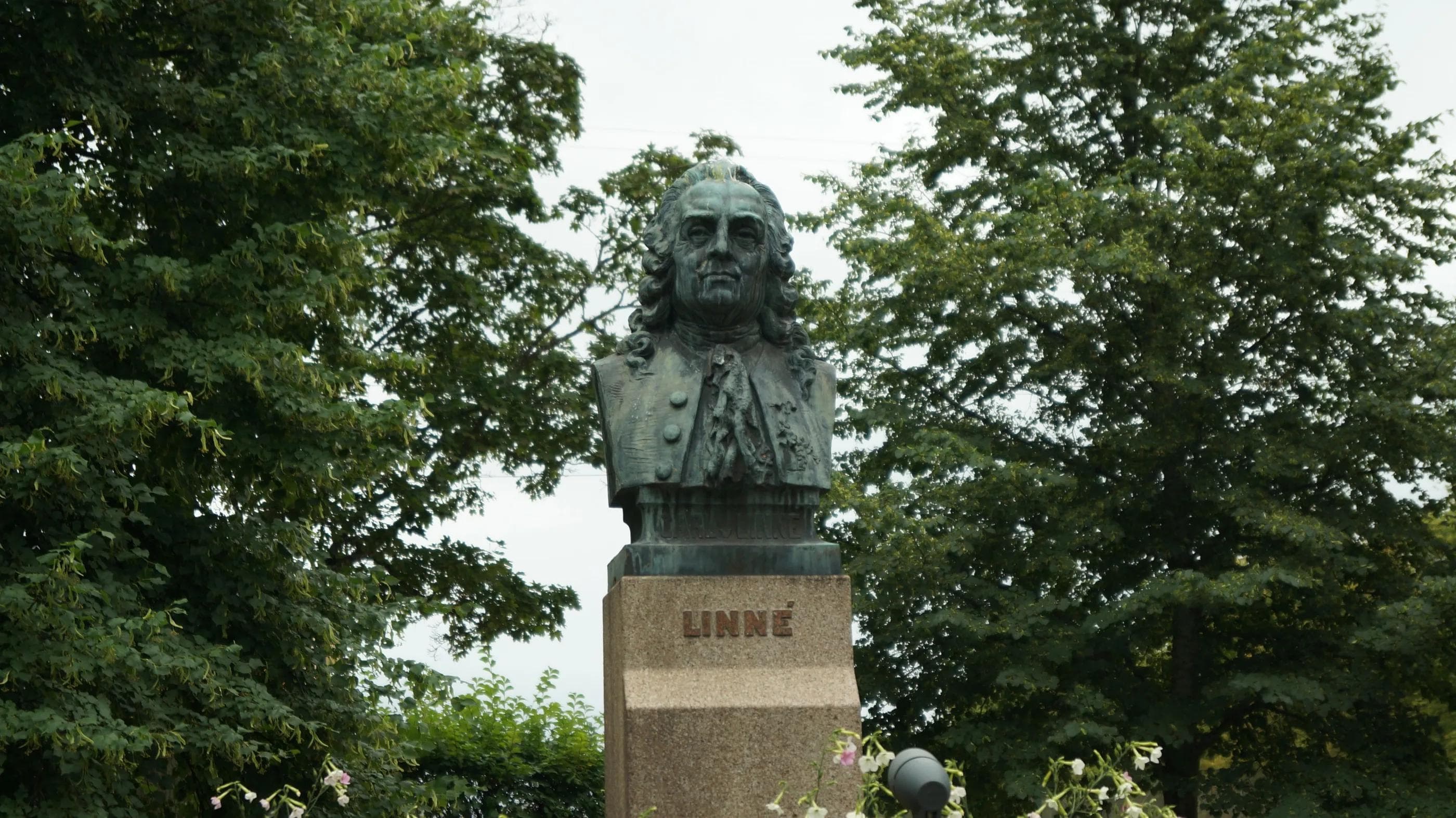 Carl von Linné war ein einflussreicher Erforscher der Natur - von der es in und um Växjö genügend gibt. Neben Nadelwälder gibt es auch viele Seen - sie werden, man merkt es derzeit, auch vom Himmel gespeist.